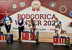 Podgorica /Černá Hora/ 21.-23. 10. 2022