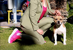 Výstavní víkend v Alicante